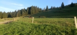 benderalpe10